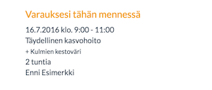 lisäpalvelu varausyhteenvedossa